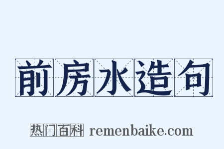 前房水造句是什么意思的图片